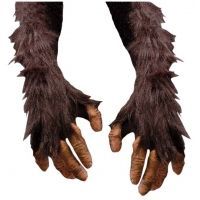 Hands & Feet